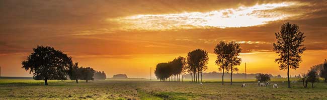 ddos攻击防御手段